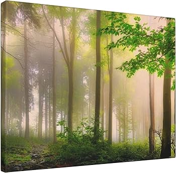 Amazon.co.jp: アートパネル 壁掛け おしゃれ 森 朝の光 自然風景 新緑